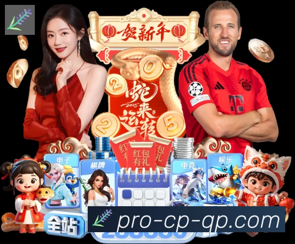 奖项4